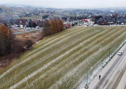 działka na sprzedaż - Nowy Targ, Niwa