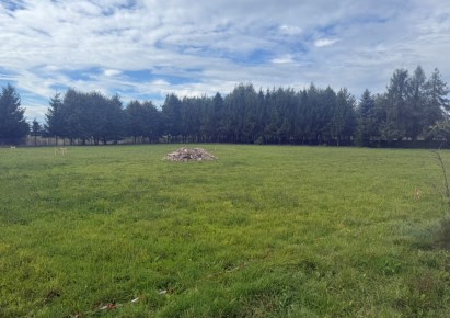 działka na sprzedaż - Miedźna, Góra